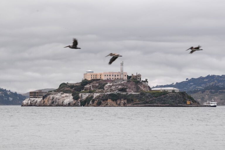 alcatraz island 768x513