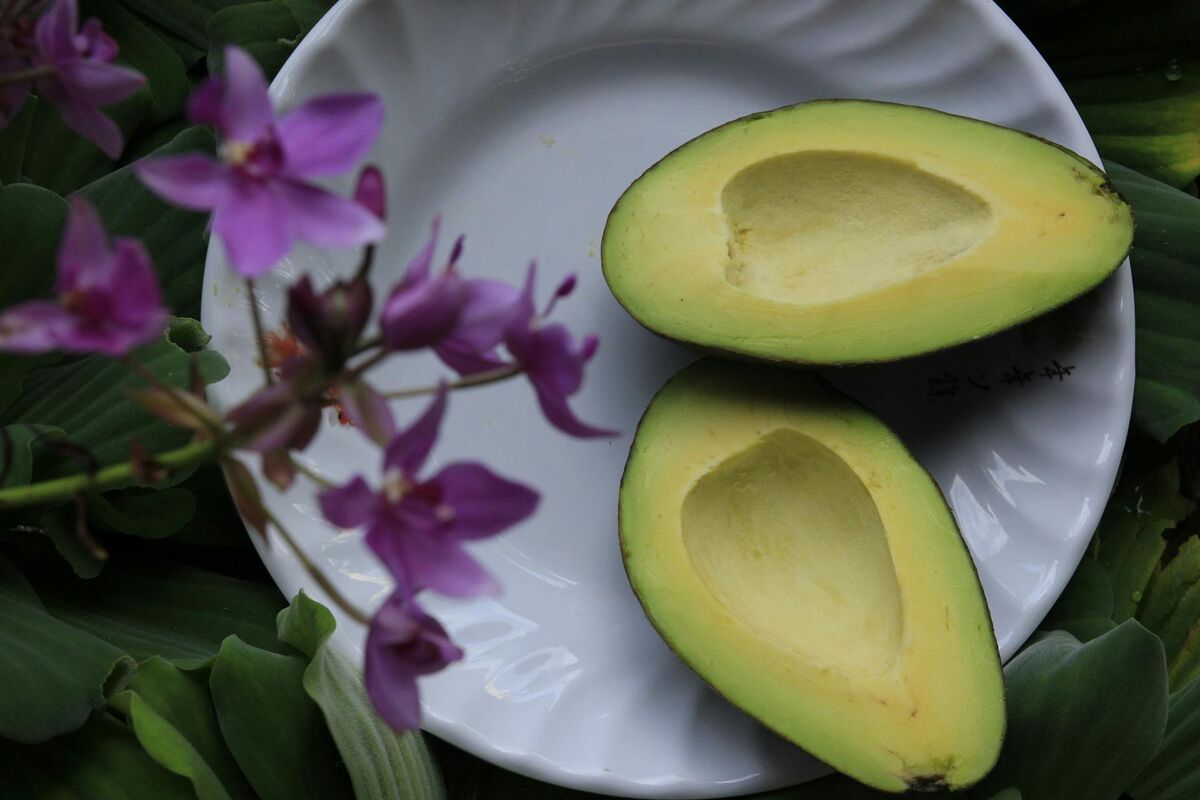 beneficial aspects of avocado