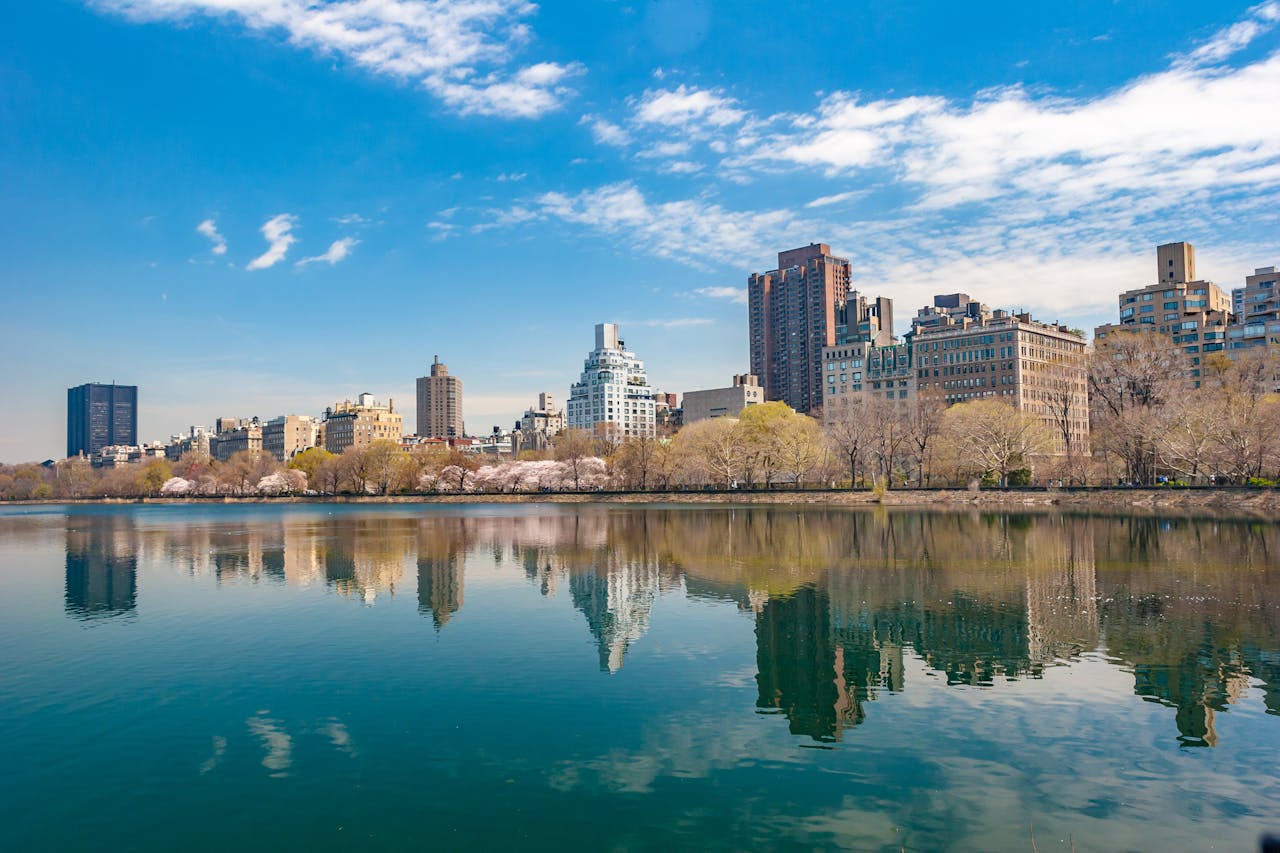 centra park new york