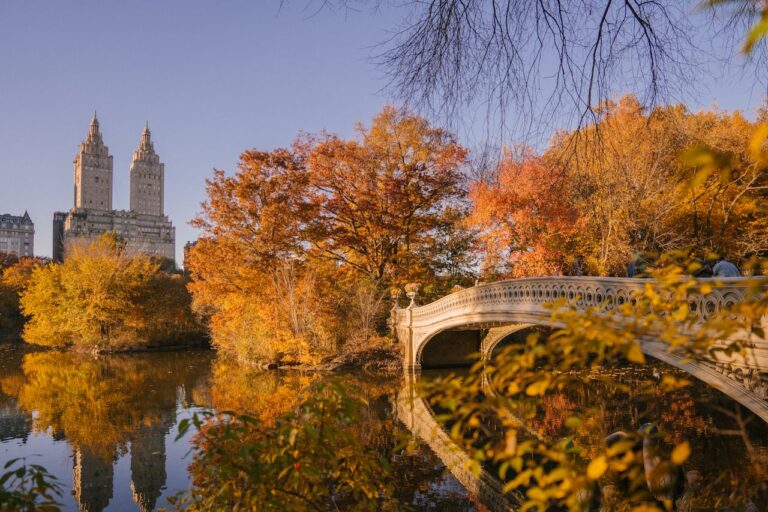 central park 768x512
