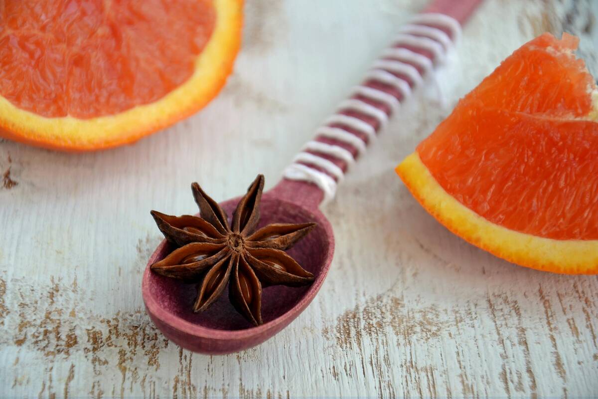 anise health benefits