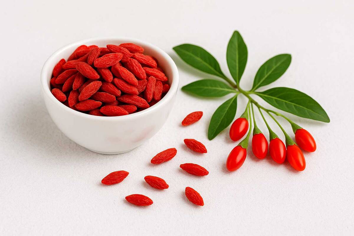 goji berries health benefits
